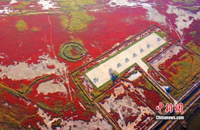 中国国内紧张湿地增至57处 湿地呵护系统开始建树