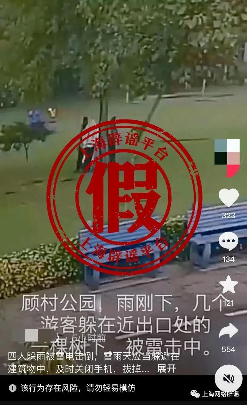 上海顾村落公园4人树下躲雨被雷击？底细是……