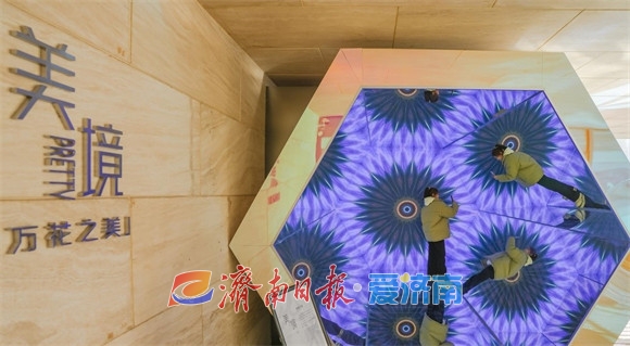 2025新展来了！来山东美术馆数字艺术空间打卡吧