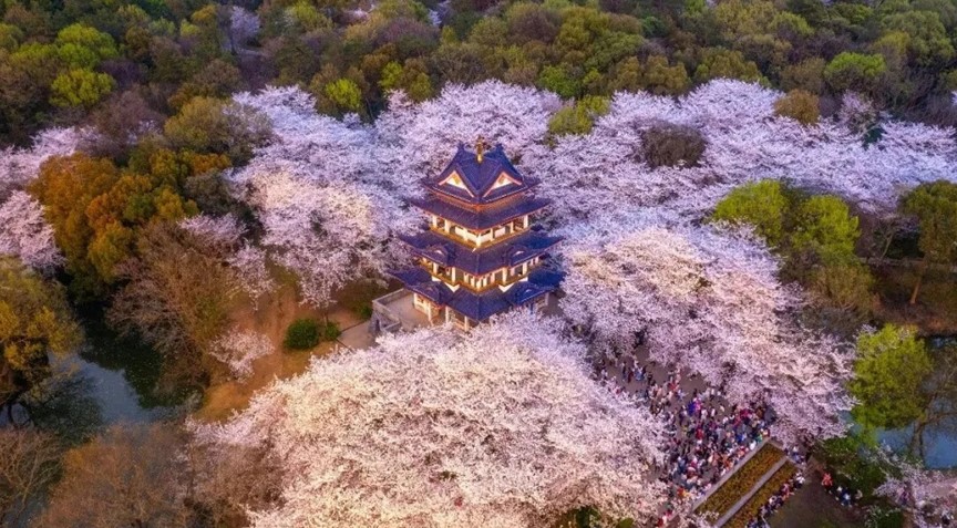 江南这座城，到底有多甜？