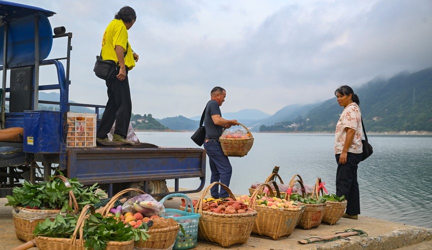 湖南资兴：东江湖“水果班船”助果农增收